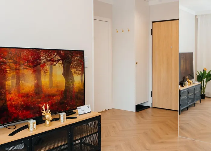 Maya's Flats & 54 - Walowa 40 アパート グダニスク